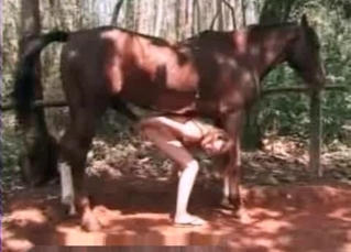 Nasty animal sex with a horse