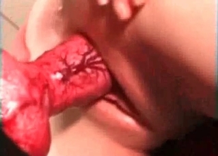 Red cock of a sexy animal