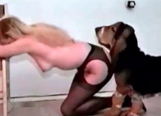 Nice dog penetrates a blonde slut
