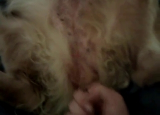 Dude viciously fingering that animal cunt