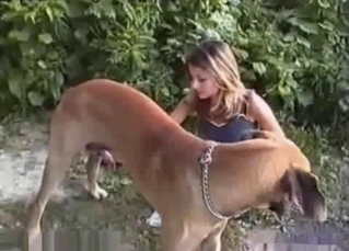 Blond-haired chick enjoys dog BJs