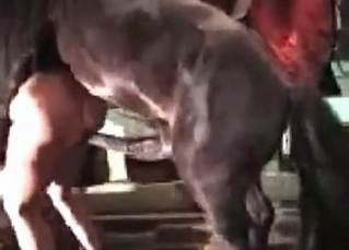 Tight twat is being impaled hard by a horse