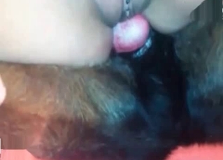 Sexy young doggy enjoys nasty sex