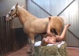 Zoophilic coed babe nicely screwed by the doggy