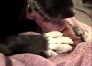 Zoophile stud gets his dick and balls LICKED