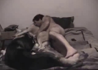 Zoo XXX with a guy who fucks his dog on the side
