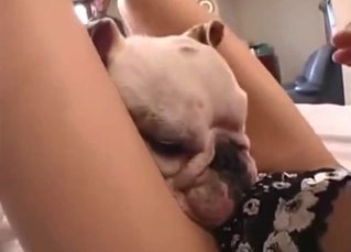 Bestiality porn with a cute Japanese whore