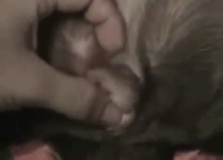 Bestiality sex with a guy who gapes all dogs