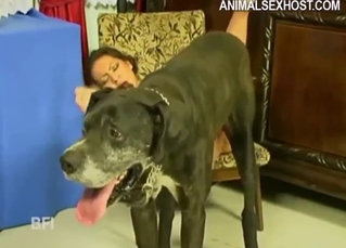 Brunette is happy to get fucked by a horny beast