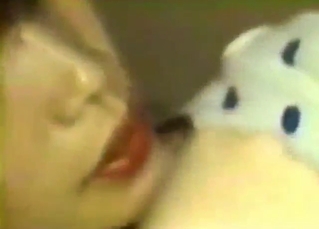 Small dogs featured in a taboo zoophile video