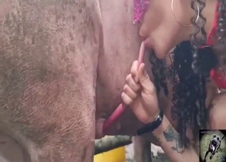 Date with pigs and their strange dicks for a hoe