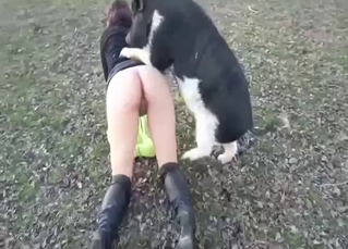 Sexy pig gets to fuck her from behind outside