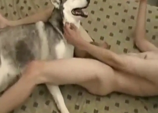 Her bountiful vag gets fucked by a zoophile