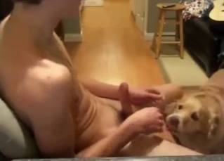 Horny dude feeds his dick to a dog