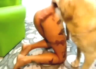Stepsister records her latest dog fucking video