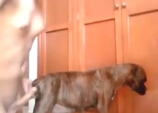 Laying pipe and getting this sexy dog right off