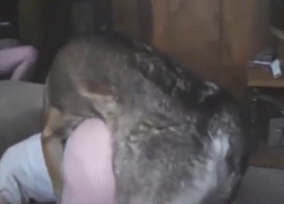 Anal zoo porn with plenty of hard doggystyle