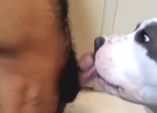 A hot older guy is going to let this dog LICK