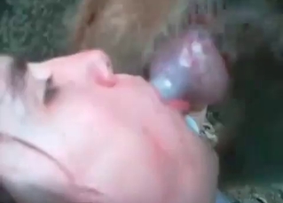 Filthy pervert gets a dog dick