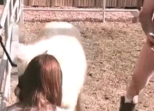 Redhead enjoys her doggy