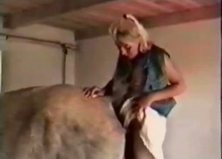 Horse fucked in the anal hole