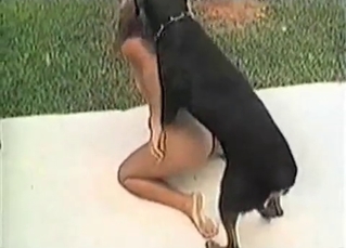 Doggy licks her juicy wet snatch