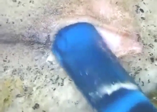 Dude fucks that pig asshole with a dildo first