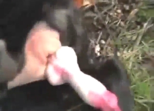 Black dog will be jerked off by a dude here