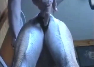 The best DANE FUCK in a bestiality sex tape