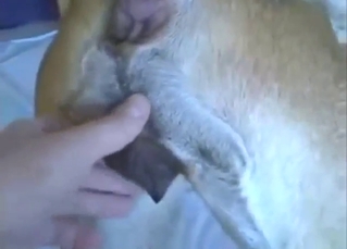 The best DANE FUCK in a bestiality sex tape