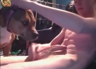 Dirty gay doggo sucking a teen's 18 YO cock