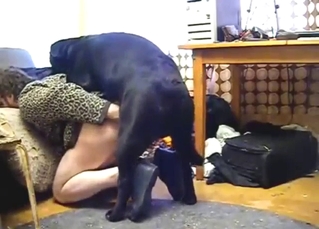 Black dog fucks a big, meaty ass on all fours