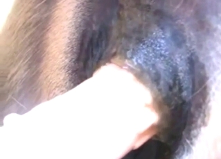 Guy gets super-horny as he puts that dick inside