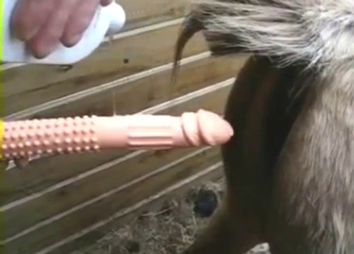 Guy gets super-horny as he puts that dick inside