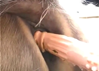 Guy gets super-horny as he puts that dick inside