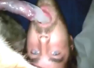 Bearded dude wants a dog's full condom for real