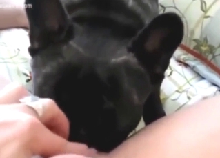 Clit-licking dog is happy to keep her on the edge