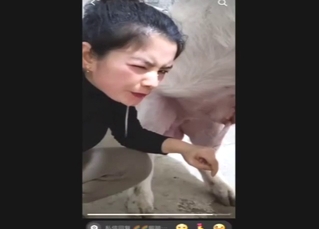 Pig fuck movie ends with that Chinese girl sucking