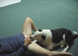 Oral bestiality porn: deep, thorough hot licking