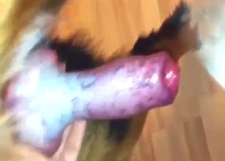 Amazing dog dick is about to be jerked off hard