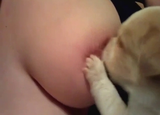 Pupper worshipping those milk-filled hot tiddies