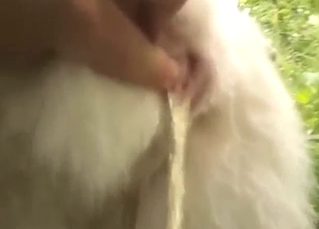 Pissy pussy fingering session with POV orgasms