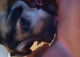 Teeny hottie is going to get licked by a sexy dog