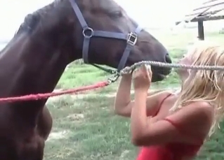 Blonde enjoys a spicy stallion