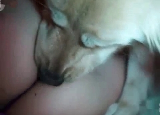 Blowjob for a trained dog