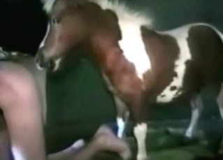 Crazy horse fucks a zoofil