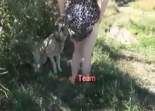 Sweet dog in the outdoor porn