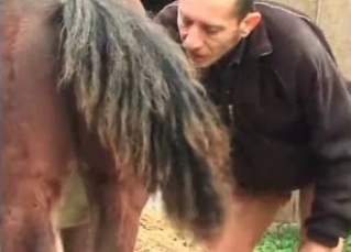 Daddy is sucking a horse dick