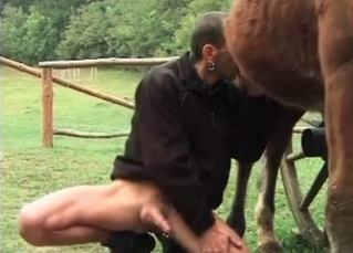 Daddy is sucking a horse dick