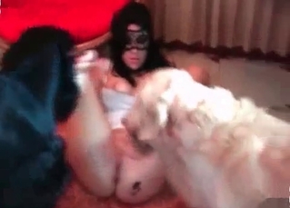 Two dogs are licking her tits
